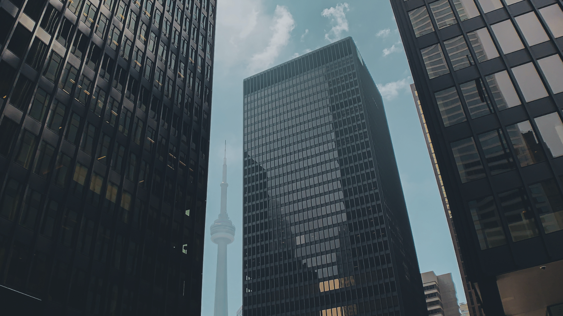 China IP Pass 회사소개 하단